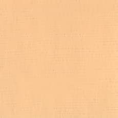 Holbein Acryla Gouache 20ml Flesh