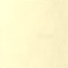 Holbein Acryla Gouache 20ml Ivory White