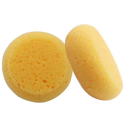 12 Pack Round Pottery Sponges | High Absorption, Horse Tack Cleaning, Leather Care, Painting & Kitchen