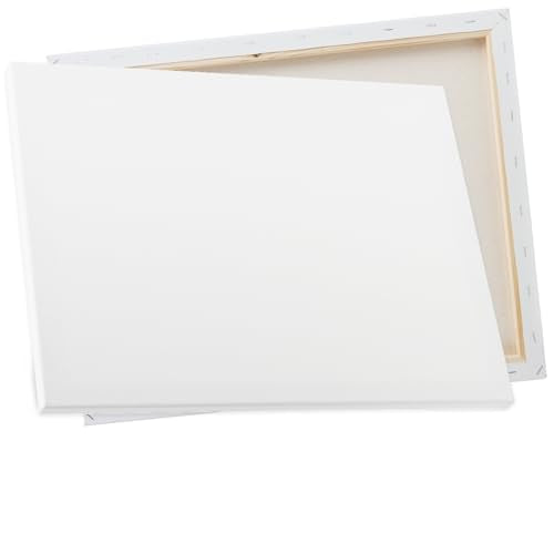 Creative Inspirations Box of 50, 16x20", 5/8" Stretched Cotton White Canvas for Painting, 10 oz. Archival Acid-Free All Media Primer, Paintable Edge, Bulk Canvas for Painting Workshops and Beginners