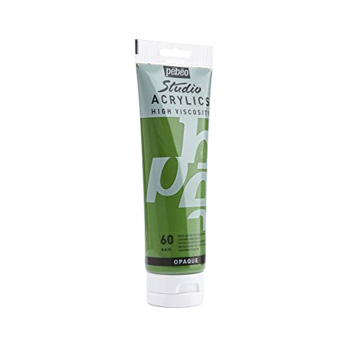 Pebeo Studio Acrylics High Viscosity, Fine Acrylic, 250 ml - Chrome Green Hue - color: Chrome Green Hue, size: 8.45 Fl Oz (Pack of 1)