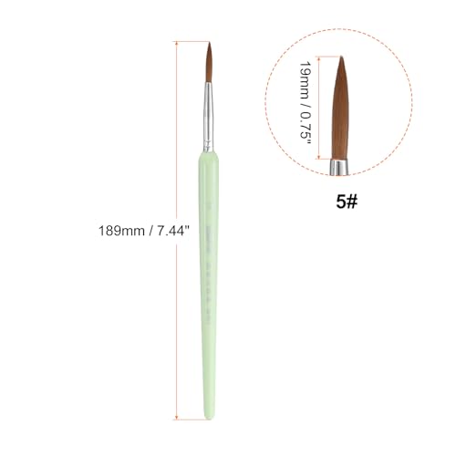 HARFINGTON 6pcs Detail Paint Brushes 19mm Pointed Tip Nylon Hair Miniature Painting Brush for Watercolor Oil Acrylic Painting(5#), Green - color: Green, size: 5# 19mm