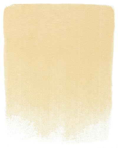 PanPastel Artist Pastels by GOLDEN, Burnt Sienna Tint, 2.44” / 62mm Pan Diameter, Professional Artist Pastels, Unique Pan Format (cake-like) - color: Burnt Sienna Tint, size: 1 Count (Pack of 1)