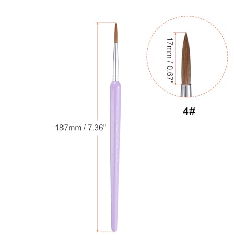 HARFINGTON 6pcs Detail Paint Brushes 17mm Pointed Tip Nylon Hair Miniature Painting Brush for Watercolor Oil Acrylic Painting(4#), Purple - color: Purple, size: 4# 17mm