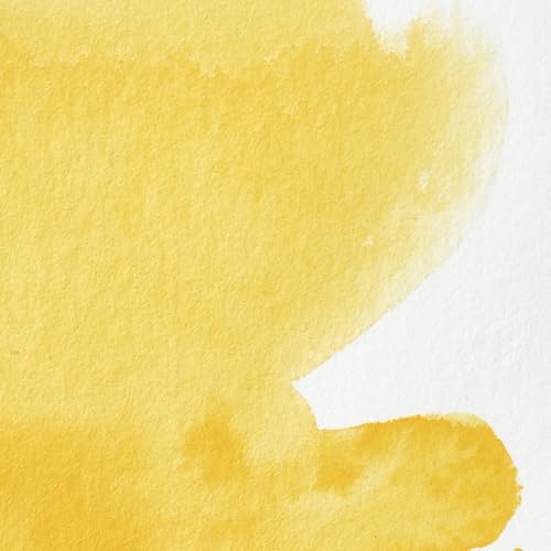 Winsor & Newton Professional Watercolor, 5ml Tube, Cadmium-Free Yellow Pale | Unrivalled Transparency, Single Pigment Vibrant Colors, Archival Permanence, Heritage Watercolors, Finest Pigments - color: Cadmium-free Yellow Pale, style: 0.17-oz Tube