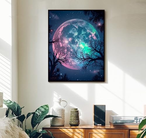 ACANDYL Moon Paint by Numbers Kit for Adults Beginner Paint by Numbers for Adults Canvas Painting by Number DIY Acrylic Oil Painting on Canvas Arts Craft Decoration 16x20 Inch - color: Moon