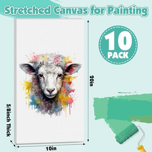 ESRICH Long Canvas for Painting 10x20 Inch, 10Pack Stretched Canvas for Painting, Primed Acid-Free Cotton Rectangular Blank Canvases, Art Paint Canvases for Oil,Watercolor,Acrylic Paint,Gouache - size: 10x20in-10Pack