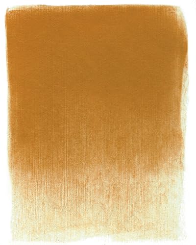 PanPastel Artist Pastels by GOLDEN, Orange Shade, 2.44” / 62mm Pan Diameter, Professional Artist Pastels, Unique Pan Format (cake-like) - color: Orange Shade, size: 1 Count (Pack of 1)
