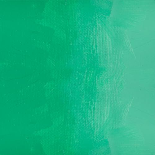 Soho Urban Artist Heavy Body Acrylic Paint - 250 ml Tube - Cadmium Blue Green Light Hue - Thick, Rich Color, Excellent Coverage, Professional Quality - Artists Acrylic Paint - color: Cadmium Blue Green Light Hue, size: 8.45 Fl Oz (Pack of 1)