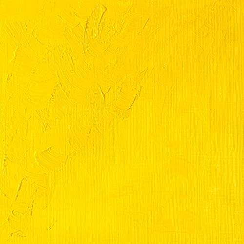 Winsor & Newton Winton Oil Color, 37ml Tube, Cadmium Yellow Light | High-quality pigments, Durable, Lightfast, Permanent, Uniform Consistency, Great Pigment Load - color: Cadmium Yellow Light, size: 1.25 Fl Oz (Pack of 1), style: 1.25-oz Tube