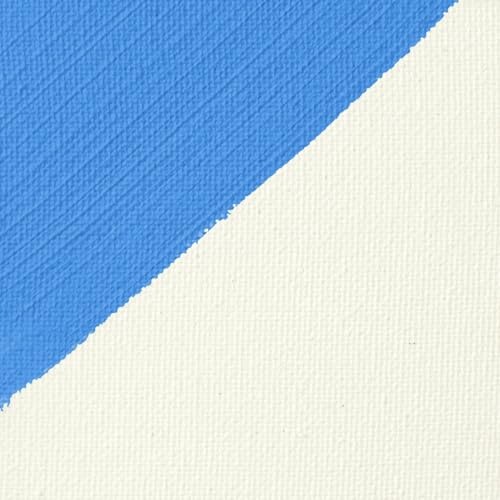 Liquitex Professional Gesso Surface Prep Medium, 473ml (16-oz), Clear - color: Clear, size: 16 Fl Oz (Pack of 1), style: 16-oz
