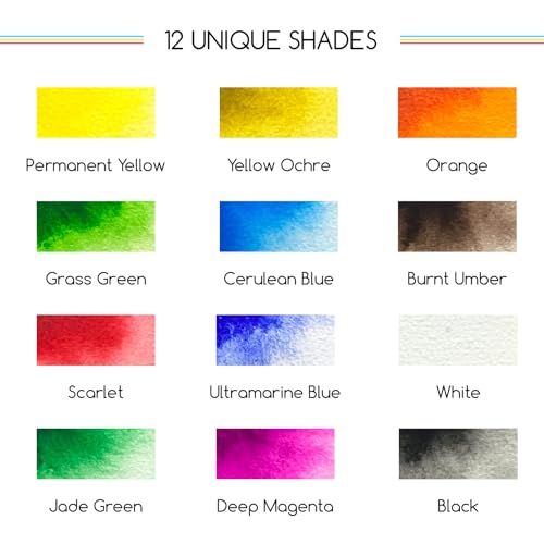 MEEDEN 12 Colors Watercolor Paint Set: Travel Watercolor Set with Brush in Half Pans - Portable Watercolor Paints for Adults & Artist - color: Basic Colors