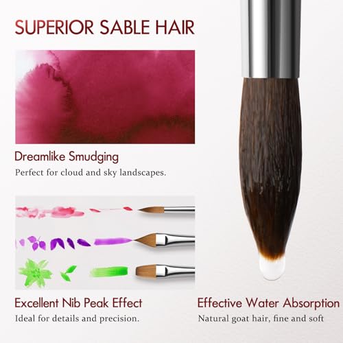 Sable Watercolor Paintbrushes Professional, lenbicki 9PCS Natural Hair Brush Set for Watercolor Painting, Acrylic, Gouache, Includes Round, Flat, Cat's Tongue - style: Multiple