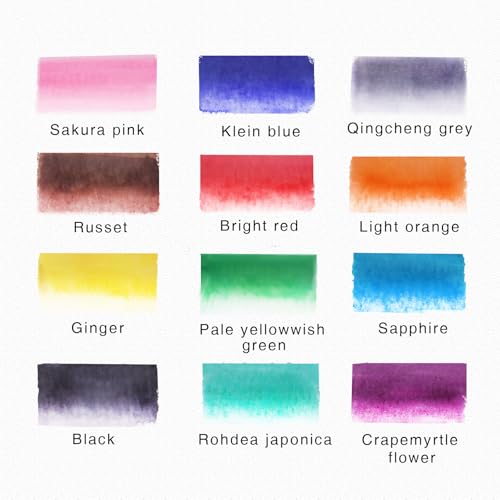 TOSHARE 12 Colors Blendable Watercolor Markers for Adults 2026 Professional Double Tip Paint Pens with 1 Water Brush Pen Water Based Coloring Pens Drawing Markers Set with Flexible Brush Tip - color: 12 Colors + 1 Water Brush Pen