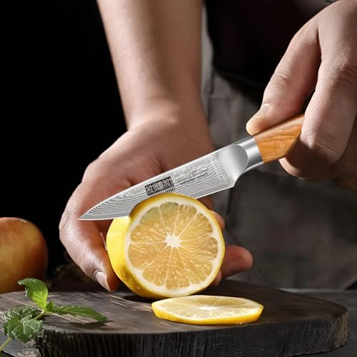HOSHANHO Damascus Kitchen Knife Set 3PCS, Sharp Chef/Santoku/Fruit Knives | Professional Cooking Knife Set | Japanese Super Steel | 15° Edge | 62 HRC | Ergonomic Olive Wood Handle | Housewarming Gift - style: 3 Pieces Knife Set