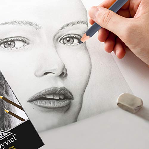 Dyvicl Professional Charcoal Pencils Drawing Set - 12 Pieces Soft Medium and Hard Charcoal Pencils for Drawing, Sketching, Shading, Artist Pencils for Beginners & Artists