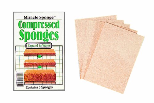 Color Wheel Compressed Sponges 4/Pkg, 3"X4"