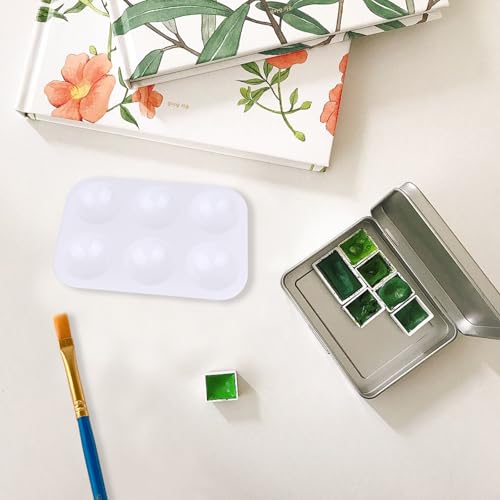 LNAUJS 4 Pack Paint Tray Palette, 6 Well Rectangular Plastic Palette for Oil, Watercolor Paint, White