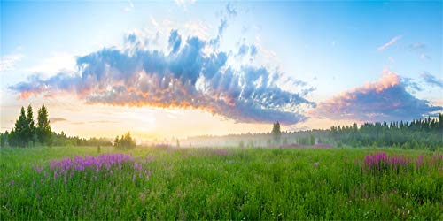 Yeele 20x10ft Vinyl Spring Summer Landscape Backdrop for Photography Rural Sunrise Field Meadow Wildflower Grass Background Banner Kids Children Photo Booth Shoot Studio Props