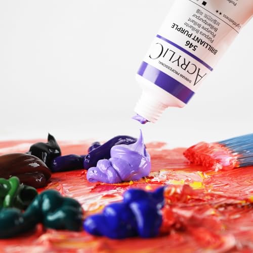 ShinHan Professional Acrylic Paint Color 20ml 36 Colors Tube Set