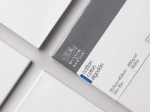 Winsor & Newton Professional Cotton Canvas, 6" x 8" Deep Edge - size: 6" x 8", style: Cotton Deep Edge