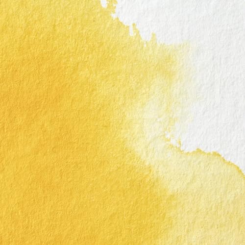 Winsor & Newton Professional Watercolor, 5ml Tube, Cadmium Yellow Pale | Unrivalled Transparency, Single Pigment Vibrant Colors, Archival Permanence, Heritage Watercolors, Finest Pigments - color: Cadmium Yellow Pale, style: 0.17-oz Tube