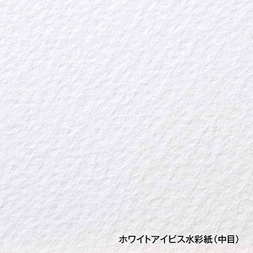 Holbein's White Ibis Shikishi Boards - Single Panel - 9.5" x 10.7" (242 x 272 mm)