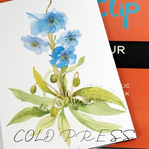 CuppaClip Watercolor Paper Block Pure Cotton Art Paper Pad 300GSM(140LB) Acid-Free 20 Sheets Watercolor Art Supplies (Cold Press, 10.2x7in) - color: Cold Press, size: 10.2x7in