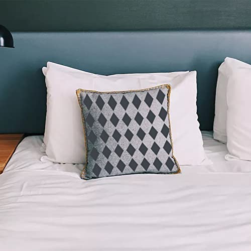 Polka Dots Harlequin Checks Twinkle Star Stencils,4 Pack Assorted Sizes Reusable Plastic Templates Making DIY Craft Painting on Wood Furniture Pillows,Tile (Style 1:Harlequin Stencils) - style: Style 1:Harlequin Stencils