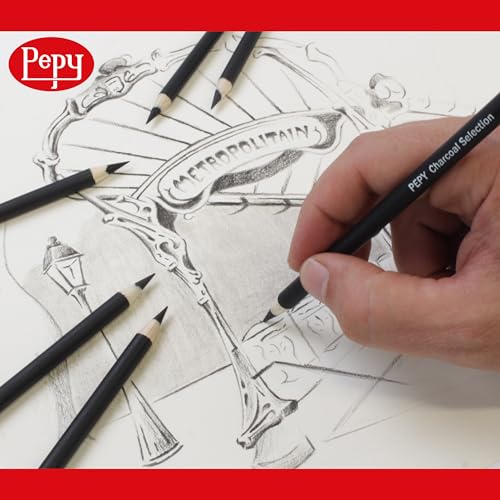 Pepy Professional Hard Charcoal Pencil Set – Set of 6 Pre-Sharpened Black Charcoal Pencils; Perfect for Drawing, Sketching, Blending and Shading
