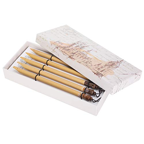 5pcs Calligraphy Dip Pen Calligraphy Pens for Writing | Comic Pen Nib Set for English Writing, Calligraphy, Painting, Drawing (Natural bamboo tip set)