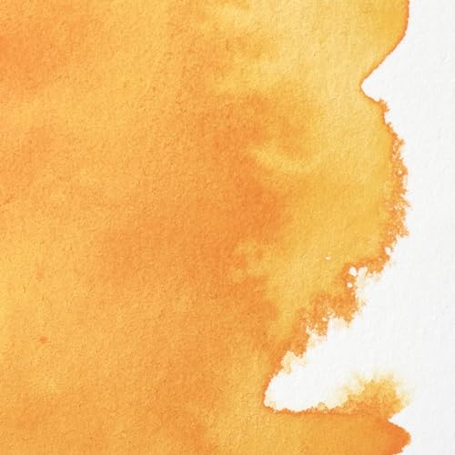 Winsor & Newton Professional Watercolor, 5ml Tube, Cadmium-Free Yellow Deep | Unrivalled Transparency, Single Pigment Vibrant Colors, Archival Permanence, Heritage Watercolors, Finest Pigments - color: Cadmium-free Yellow Deep, style: 0.17-oz Tube