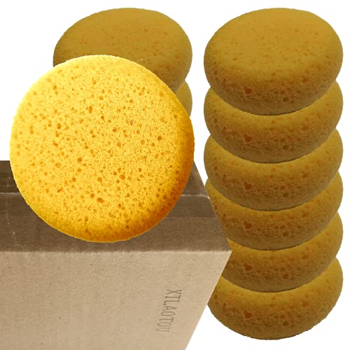 A Box of 12 Tack Sponges (Middle Hole) - color: 12 Middle Hole, size: Medium
