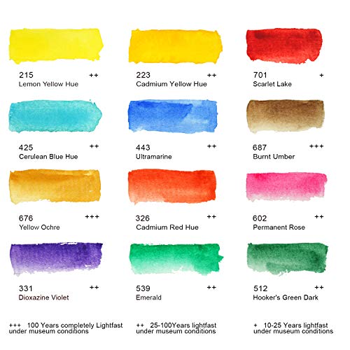 PHOENIX Artist Watercolor Paint Set - 12 Colors Half Pans Palette Quality Pigment Watercolor Travel Set Portable Tin Box for Adults, Professional Artists - color: 12 Classic Colors