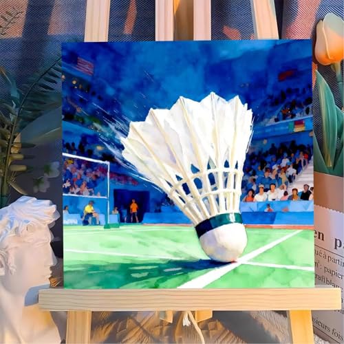 Reivworl Framed Badminton Paint by Numbers Kit for Adults Beginner 10×10 inch - color: 12-Badminton