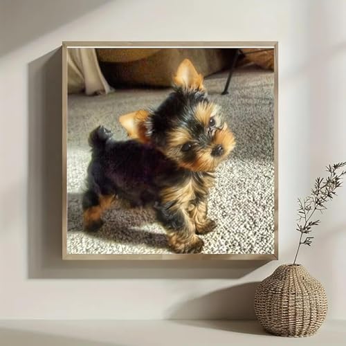 WCHUIMM Diamond Art Kits for Adults Puppy, DIY 5D Dog Diamond Painting Kit for Beginners, Animal Full Round Drill Gem Art Dots for Adults, Diamond Dots Paintings Crafts Home Wall Decor 12x12inch - color: Puppy