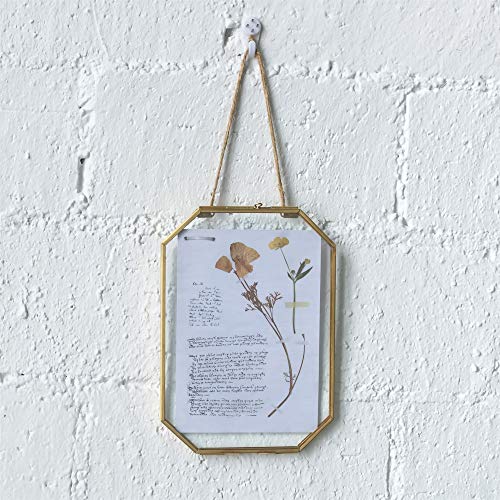 NCYP Small 5 x 7 inch Floating Glass Frame with Chain for Picture, Photo, Pressed Dried Flowers, Plant Specimen - Vintage Octagon Home Gallery Wall Mounted Decor, Gold (Glass Frame Only) - color: Gold, size: 5x7inches