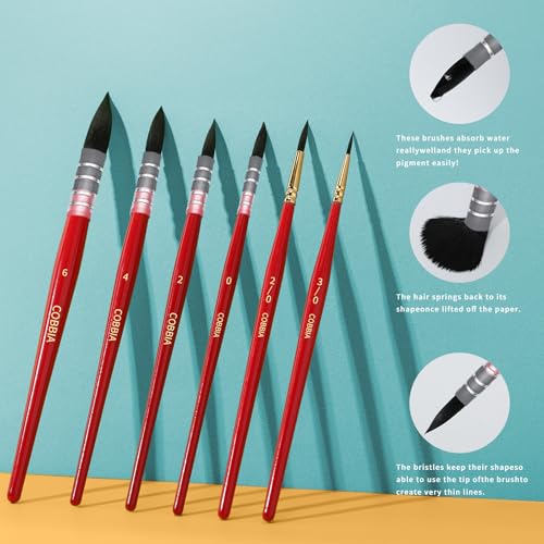 Watercolor Brush Set, Soft Synthetic Squirrel Hair, Round Tip Mop Brushes for Professional Artists - Gouache, Fine Detailing, Acrylic, Gouache, Oil(6Pcs) - size: 6 Pcs (Small)