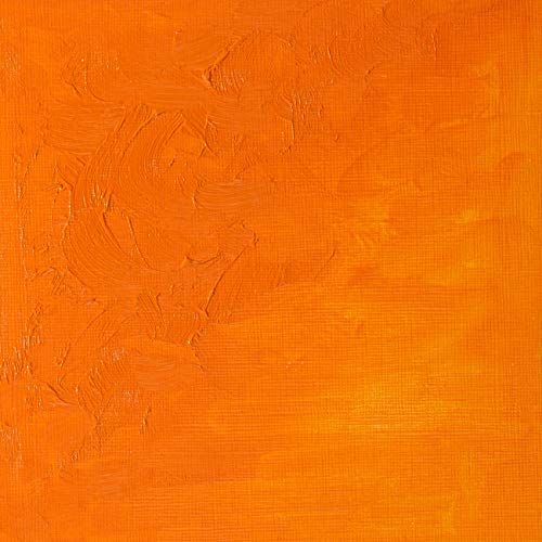 Winsor & Newton Winton Oil Color, 37ml Tube, Cadmium Orange - color: Cadmium Orange, size: 1.25 Fl Oz (Pack of 1), style: 1.25-oz Tube