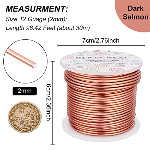 BENECREAT 12 Gauge 100FT Aluminum Wire Anodized Jewelry Craft Making Wire Beading Floral Aluminum Craft Material for Jewelry Craft Sculpture, Plant Gardening, Skeleton Making, Copper Tone - color: Copper, size: 12 Gauge