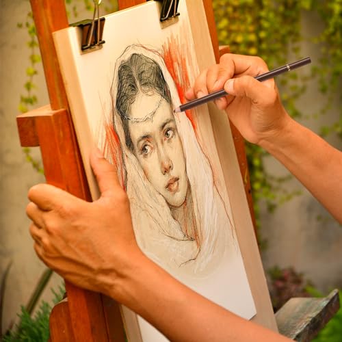 KALOUR Pro Colored Charcoal Drawing Set,12 Pieces Pastel Chalk Pencils for Sketching, Shading, Blending, Portrait, Black White Charcoal for Beginners & Artists - style: 12 Colored Charcoal Pencils