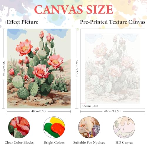 Paint by Numbers Kit for Adults Beginner, Desert Cactus Flowers,16x20 Inch - color: LBUSOPNF1P06