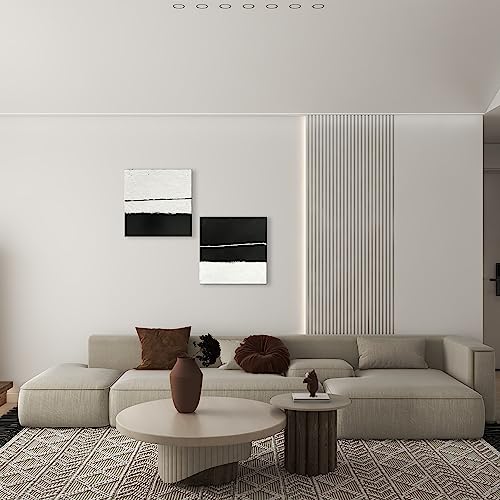 NANKAI Art Contemporary Minimalist style art oil painting Abstract art piece Decorative artwork for home or office wall 20x20 inches - 2 pieces - color: NKHB053