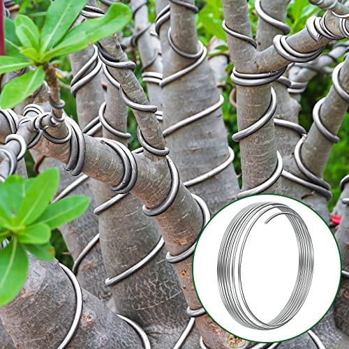 Pelopy Aluminum Armature Wire Bendable Sculpting, Silver, 1/16 Inch,100 Ft - size: 1/16 Inch,100 ft