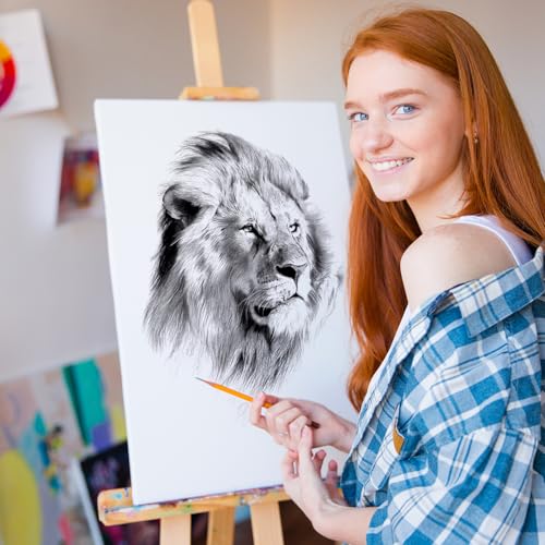 ESRICH Stretched Canvas for Painting, 60 Pack Multi Size11x14, 8x10, 5x7, 4x6, 4x4, Blank Primed Canvases for Oil & Acrylic Painting, Painting Canvas Supplies for Beginners, Artists(12 of Each). - size: 60PCS-5sizes(12 of Each)