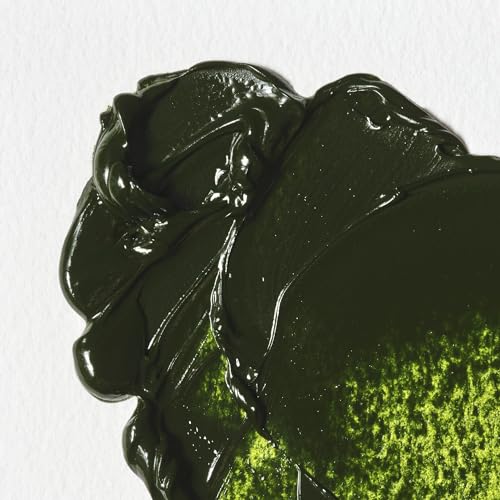 Winsor & Newton Winton Oil Color, 200ml Tube, Sap Green | High-quality pigments, Durable, Lightfast, Permanent, Uniform Consistency, Great Pigment Load - color: Sap Green, size: 6.75 Fl Oz (Pack of 1), style: 6.75-oz Tube