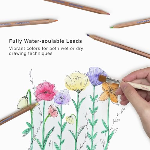COLOUR BLOCK 12 Color, Watercolor Pencils,Art Supplies,Professionals- Hexagonal Handles and Quality Lead, Drawing Pencils Ideal for Details,Aluminum Box
