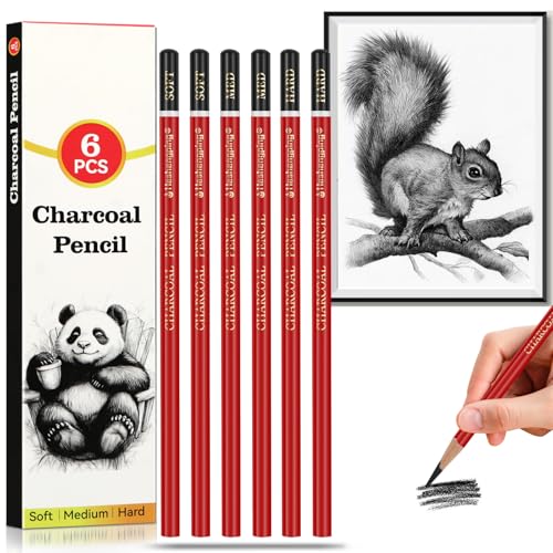 Professional Charcoal Pencils for drawing, Set of 6, Black Charcoal Drawing Pencils (Soft, Medium, Hard), Art Supplies for Drawing Sketching, Shading