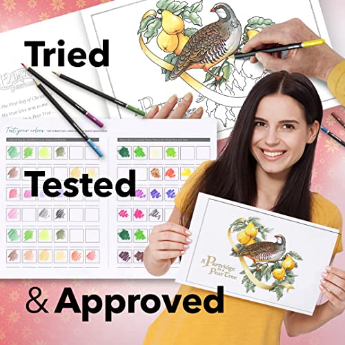 Castle Arts Christmas Coloring Book for Adults - with Color Guide | Cards, calendar, and scenes curated by in-house artists to lift the spirit - no-show-through paper, frameable A4 - color: Christmas