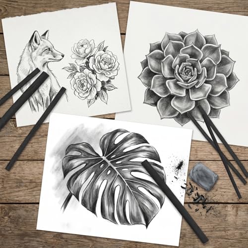 100 Pcs Willow Charcoal Sticks, Black Willow Charcoal for Artists Beginners Students, Drawing Charcoal for Sketching and Shading, Art Supplies(2-4mm, 4-5mm, 5-7mm,7-9mm)